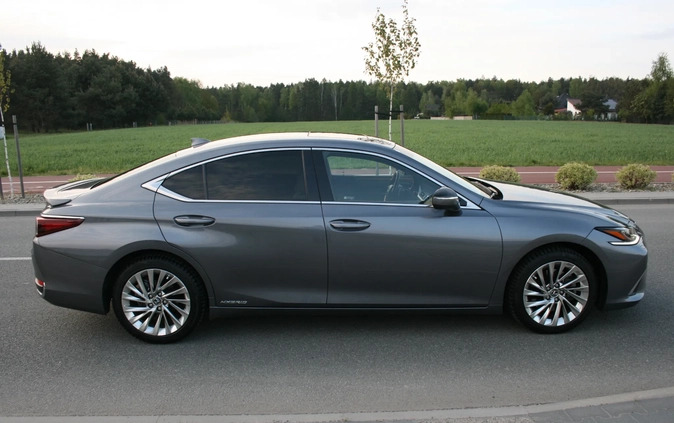 Lexus ES cena 180000 przebieg: 28500, rok produkcji 2019 z Pajęczno małe 466